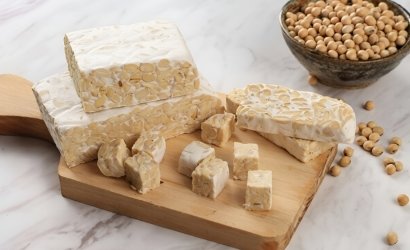 Frozen Tempeh Export