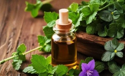 Export-grade patchouli oil from Indonesia
